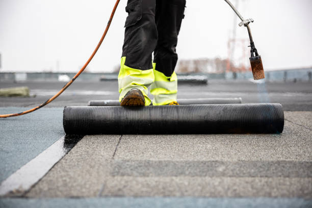 Best Solar Panel Roofing Installation  in Marinette, WI